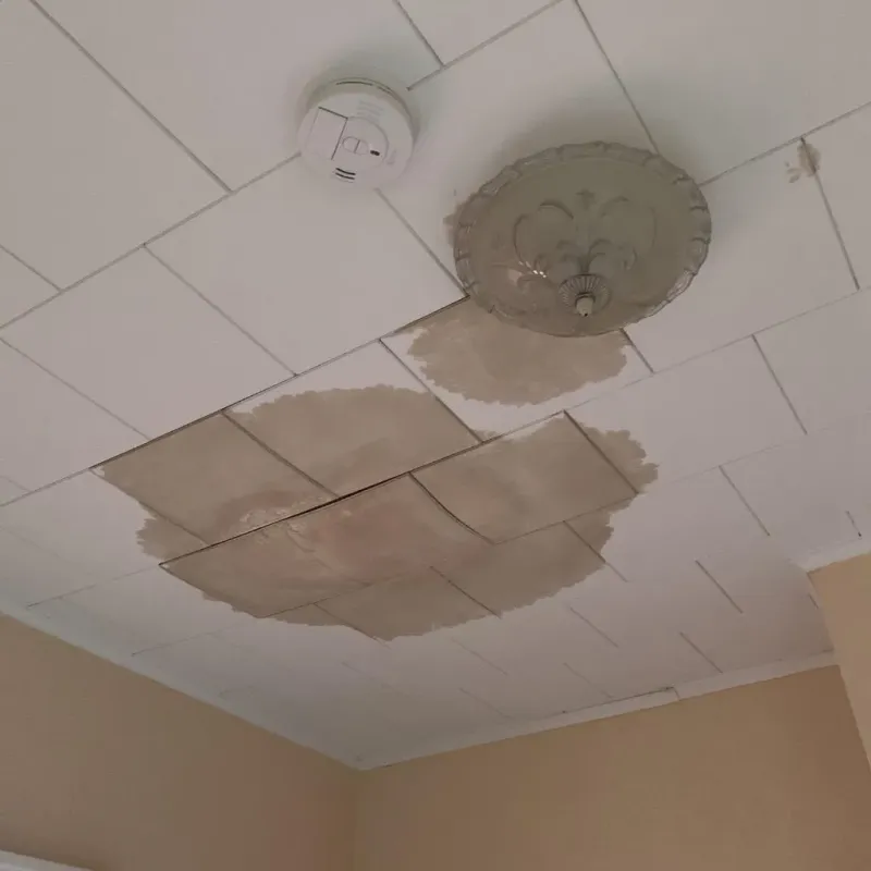 Ceiling Water Damage Repair in Olivia, MN