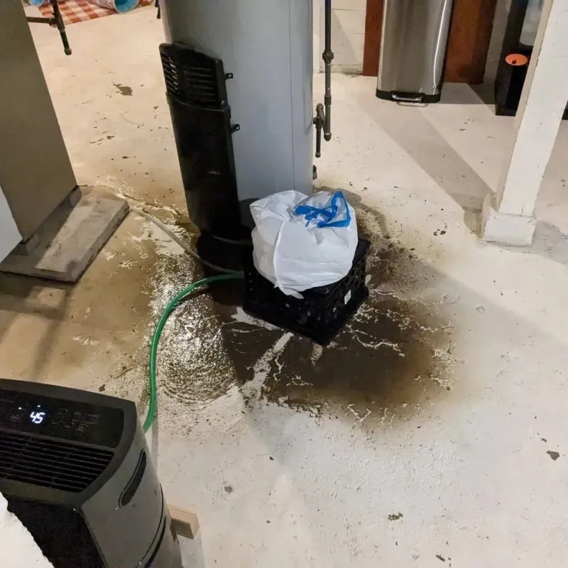 Sewage Backup Cleanup Service in Olivia, MN